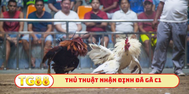 Thủ thuật nhận định đá gà trực tiếp C1